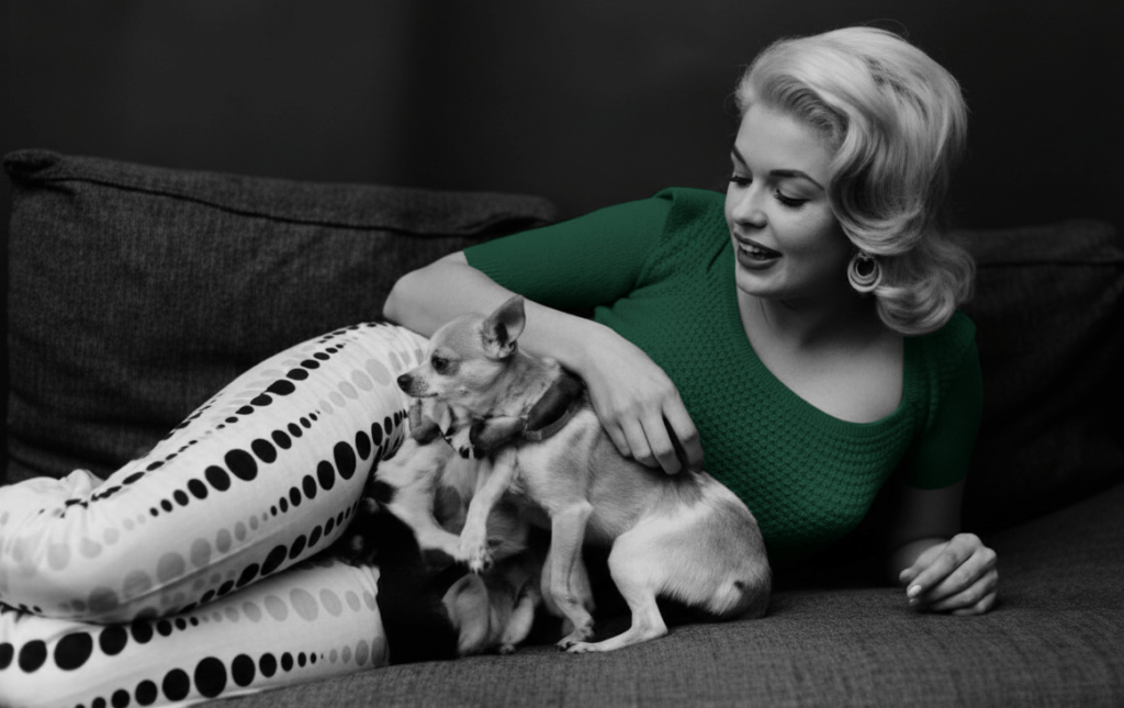 Jayne Mansfield: The Heartbreaking True Story of Hollywood’s Brightest Star